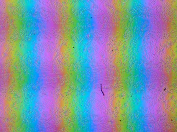 Обзор игрового ноутбука Acer Predator Helios 18 AI