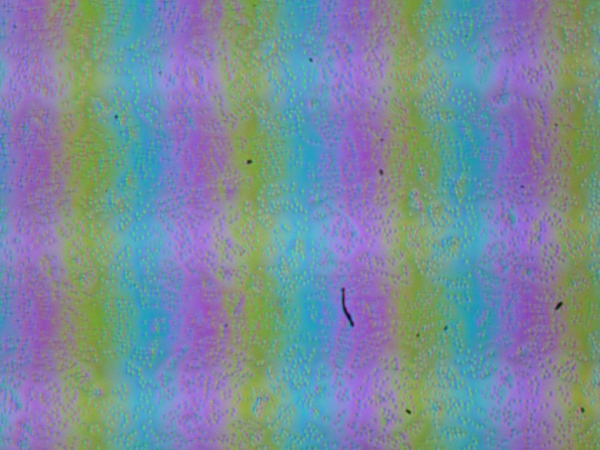 Обзор игрового ноутбука Maibenben X-Treme Typhoon X16B-R98956 с оформлением в стиле Atomic Heart