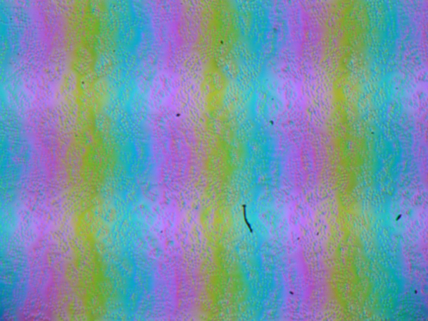 Обзор игрового ноутбука Asus ROG Strix G18 (2025) G815LW