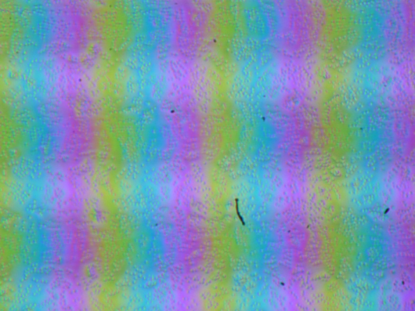 Обзор игрового ноутбука Maibenben X16E X-Treme Tsunami с СЖО, AMD Ryzen 9 9955HX и Nvidia GeForce RTX 5080 Laptop