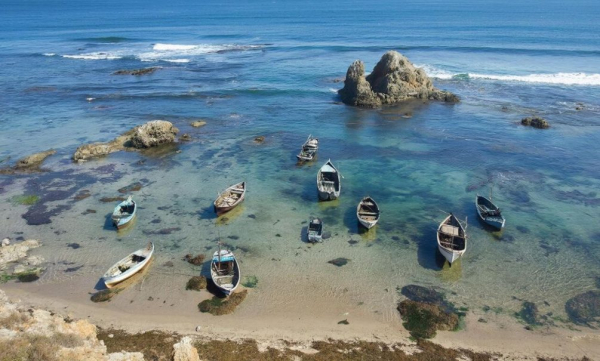 Тревожный сигнал природы: Мраморное море отступило на 20 метров, ученые предупреждают о мощном землетрясении