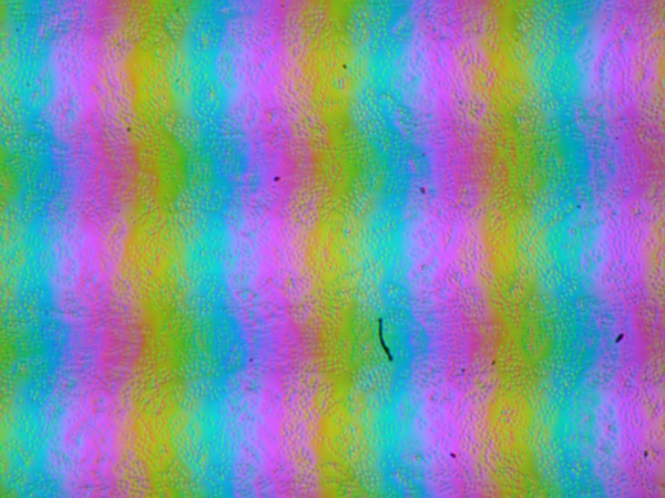 Обзор игрового ноутбука Asus ROG Strix G16 G615LW-S5080