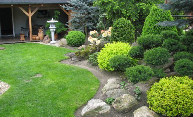 Садовый топиарий своими руками – учимся формировать деревья и кусты | В цветнике ()