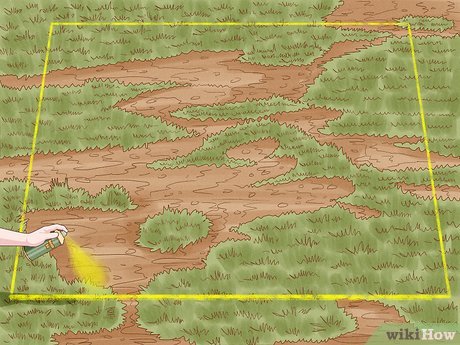 Как посадить ровный газон: 15 шагов (с иллюстрациями)